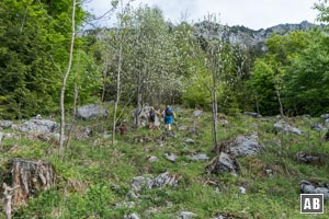 Über eine Lichtung steil hinweg - oben wieder in den Forstbestand hinein.