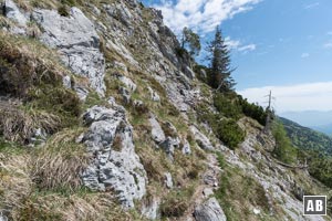 Steile Aufschwünge wechseln sich mit flacheren Quergängen ab...