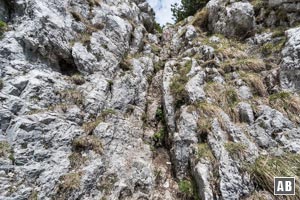 Die Schlüsselstelle im Goldtropfsteig: Eine 5-m-Steilstufe die wir erklettern müssen (I)