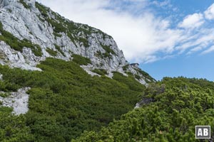 Blick aus der Latschenzone zum Reichenhaller Haus.