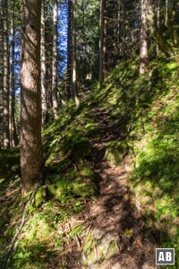 Die steile Waldpassage gleich nach dem Start in Hinterhornbach
