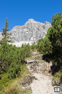 Kurz vor der Schwabeggalm der erste Blick auf die gewaltige Südmauer des Hochvogel