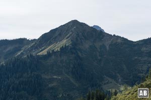 Blick auf das benachbarte Walmendingerhorn.