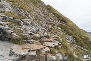 Blick zurück. Das Gelände ist jedoch steiler als es das Foto vermitteln mag.