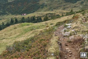 Ein erdiger Pfad führt hinüber zur Schwarzwasserhütte (links oben im Bild).