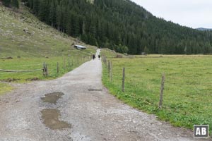 Auf planiertem Weg abwärts in Richtung Auenhütte.