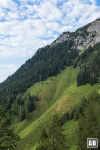 Der Anstieg zur Brettgabel (oben, rechts der Bildmitte) erfolgt am Waldrand über die steile Wiese