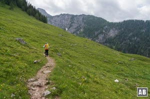 Der Weiterweg an der Priesbergalm Richtung Seeleinsee