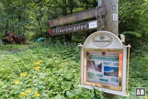 In Spielmannsau gehen wir die Fahrstraße einige Meter zurück und biegen nach der Brücke in den Steig Richtung Traufbergalpe ein