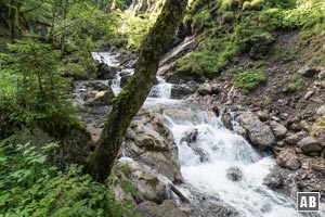 Entlang des Traufbach steigen wir steil empor