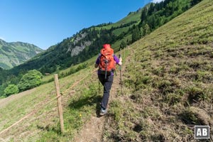 Der wieder sichtbare Pfad an der Traufbergalpe