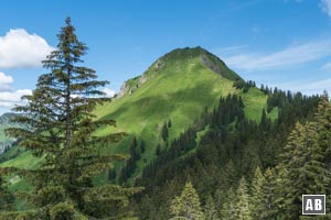 Der grasige Gipfelaufbau des Kegelkopf