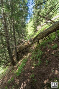 Am Weg zum Südostgrat stellt sich so manches Hindernis in den Weg