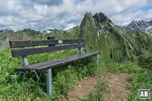 Die Gipfelbank vor der Königin aller Steilgrasberge: die Höfats