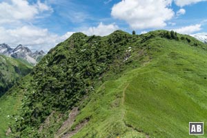 Rückblick auf den Gipfel