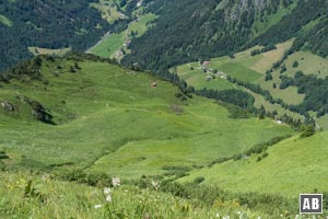 Die Hochmulde <q>Im Gündle</q> mit Gerstruben im Hintergrund