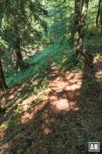 Unter der Waldgrenze heißt es noch mal deutlich auf die Pfadspuren achten