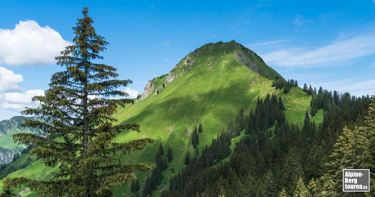 Der grasige Gipfelaufbau des Kegelkopf