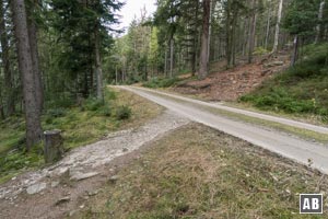 Wir queren eine Forststraße und wenig später einen alten Karrenweg