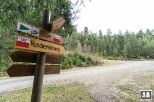 Unser Anstieg über den Weg Lo1 mündet in dieser geschotterten Forststraße. Rechts ist bereits die Kehre zu sehen der wir nach links oben folgen.