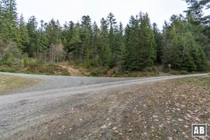 Die geschotterte Fahrstraße gabelt sich. In der Mitte schließt der beschilderte Normalweg zum Großen Osser an. Wir folgen jedoch der Kehre nach links oben.