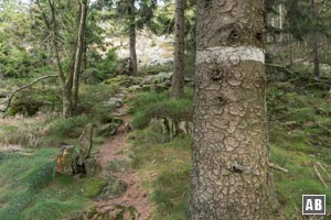 Eine weitere Markierung an einem Baum. Links am Boden ein weiterer Steinmann - dahinter die ersten Felsblöcke.