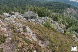 Tiefblick vom Gipfel des Kleinen Osser auf den Südgrat. Rechts oben der Forstweg über den wir zum Einstieg gewandert sind.