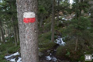 Wir folgen den Markierung zur Künischen Kapelle in Richtung Großer Osser