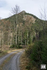 Blick aus der Forststraße auf den Südgrat des Kleinen Osser