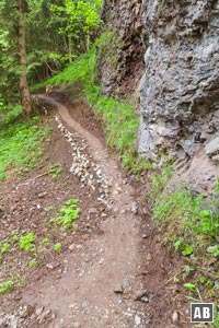 Zum Gimpelhaus bewegen wir uns im unteren Teil auf erdigem (bei Nässe matschigem) Untergrund