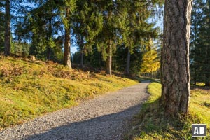 Einfache, gut befestigte Wege am Kramerplateau