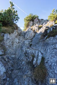 Unterwegs im Kramersteig - kleiner Kraxlstellen sorgen für Abwechslung