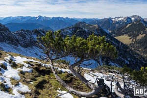 Blick ins Ammergebirge. Ganz rechts die markante Kreuzspitze.