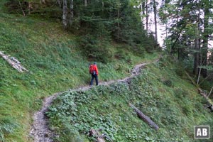 In den unzähligen Serptentinen hinauf zum Hochgrieskar