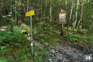 Nach 1 km dürfen wir die Abzweigung nach rechts in Richtung Lärcheck nicht verpassen