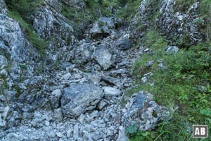 Das Kabel endet, entlässt uns ins rustikale Gelände. Mühevoll der erkennbaren Spur nachwandern - hinweg über loses Gestein, grobe Felsblöcke, sperrige Latschen.