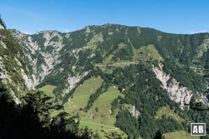 Rückblick auf den Feldberg