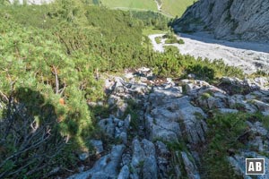 Vermehrt auf allen Vieren gegen das Latschenhang ankraxeln (hier der Rückblick),...