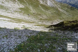 Rückblick von der vorhandenen Spur auf den weglosen Abschnitt