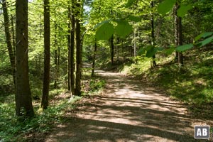 Zu Beginn wird ein komfortabler Schotterweg parallel zur B20 verfolgt, ...