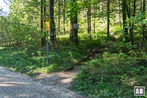 ...der bald rechtsseitig mittels eines Bergpfades verlassen wird