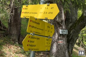 Kurz vor der Steinernen Agnes mündet der Weg von Winkl ein