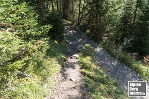 Wenig später verbindet sich unsere alternative Strecke mit dem vielbegangenen Zugang von Hinterstein-Parkplatz.