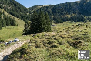 ...hinauf in die großzügig geschnittene Weidefläche der Willersalpe, bis...