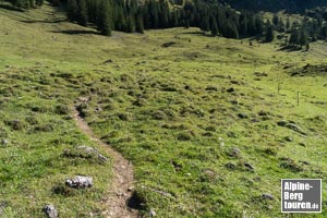 Hinter der Willersalpe die erkennbare Spur rechter Hand aufnehmen.