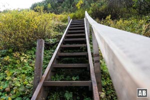 Eine Holztreppe unterhalb des Baumgartenköpfls hilft über schlammigen Untergrund