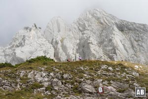 Im oberen Teil weicht der Gildensteig mehrfach den steil aufragenden Felsen aus