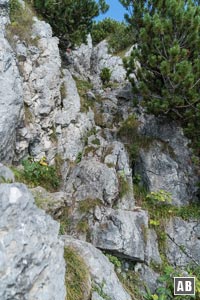 Noch eine kurze Kraxlpassage und wir haben das Gipfelkreuz des Buchstein erreicht