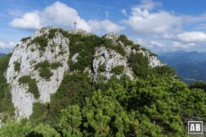 Nach der Rinne folgt eine kurze Gehpassage hinüber zum Gipfelfelsen