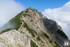 Blick vom Niederecksattel auf den Grat Richtung Rubihorn